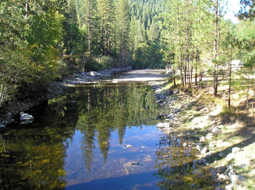 Yosemite Lakes Bunkhouse Cabin 27 Harden Flat Exterior foto